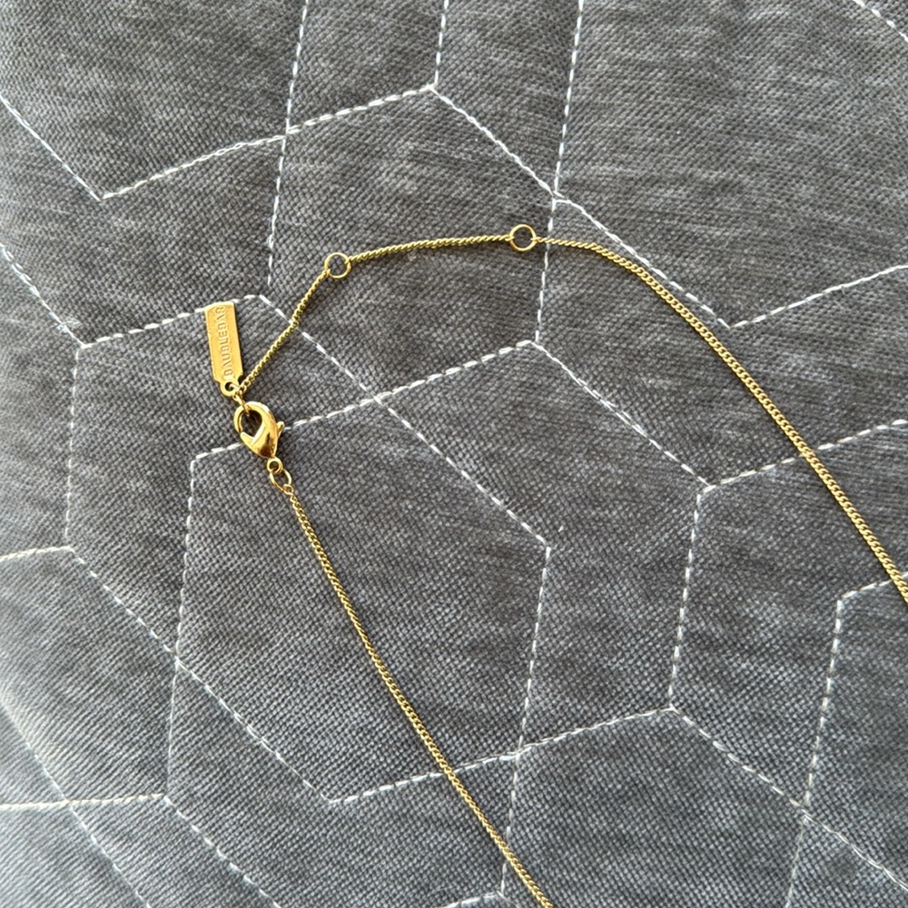 Baublebar “D” Initial Y-Chain Necklace - Picture 5 of 5